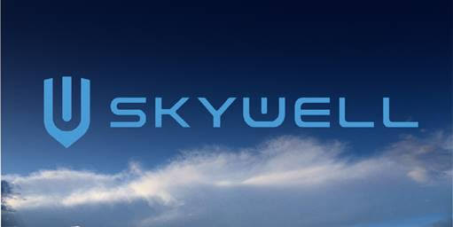 Драйв Клик Банк выдал первый автокредит на электроавтомобиль SKYWELL